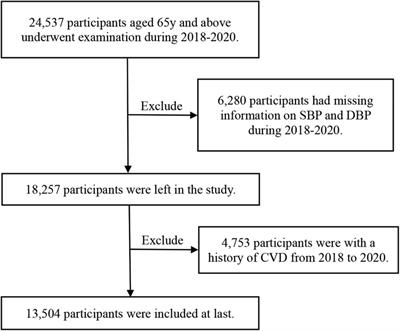 Association between blood pressure multi-trajectory and cardiovascular disease among a Chinese elderly medical examination population